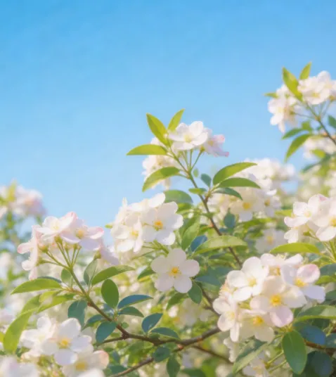 2026年七年级下学期语文期中考试模拟试卷 第1张