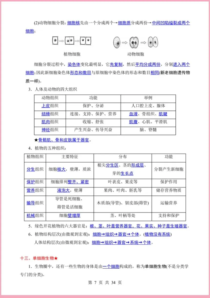 地生会考|2026年中考生物必背知识|背它中考轻松拿捏(电子版可打印) 第6张 地生会考|2026年中考生物必背知识|背它中考轻松拿捏(电子版可打印) 第6张