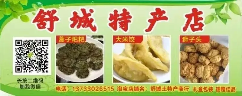 关注!2026年全县中考备考研讨会在舒城二中举行 第10张