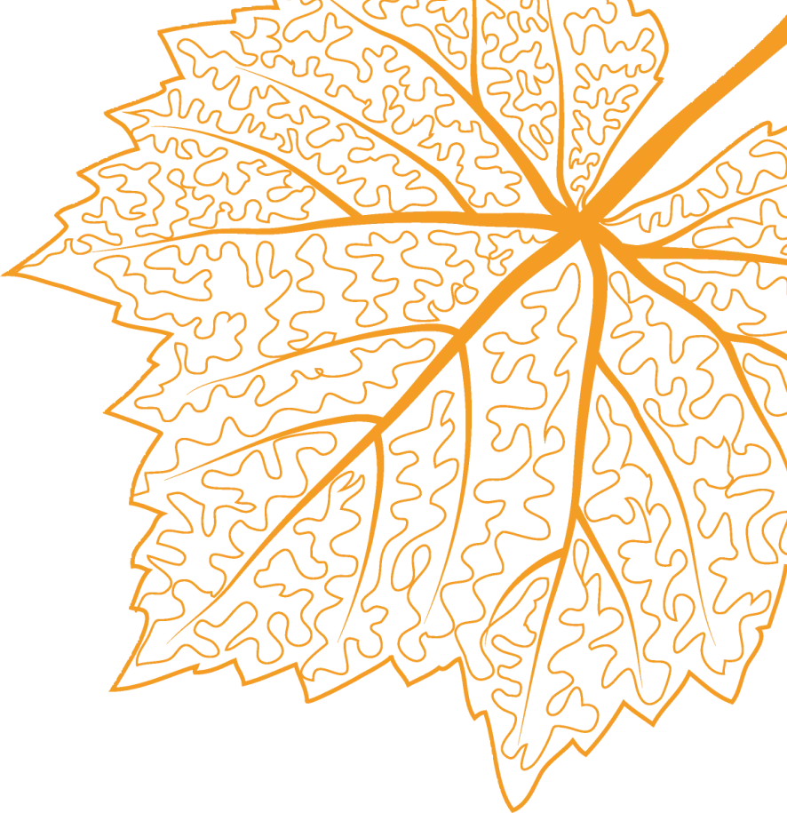 2026金考卷特快专递第七期高考真题卷(全套9科) 第2张