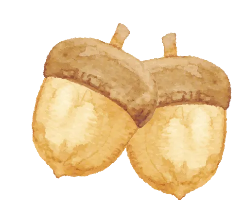 2026金考卷特快专递第七期高考真题卷(全套9科) 第3张