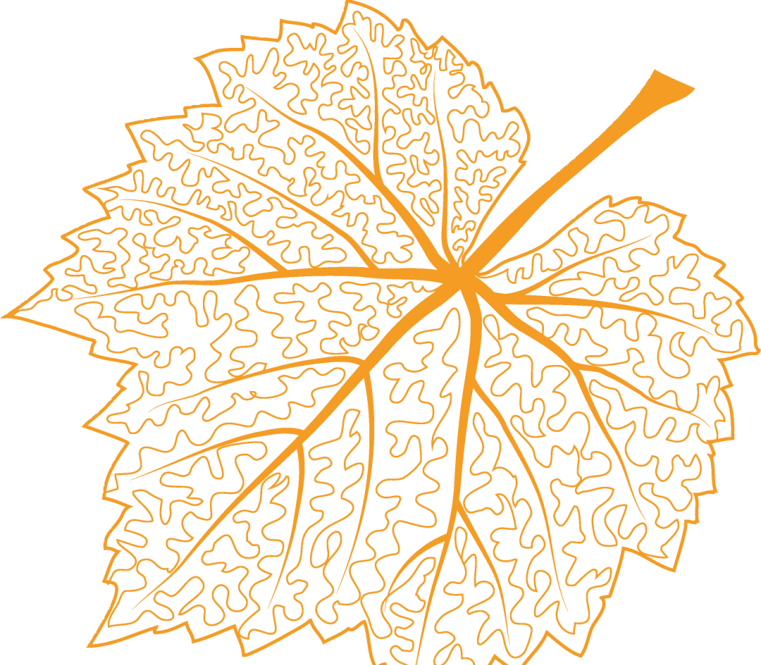 2026金考卷特快专递第七期高考真题卷(全套9科) 第8张