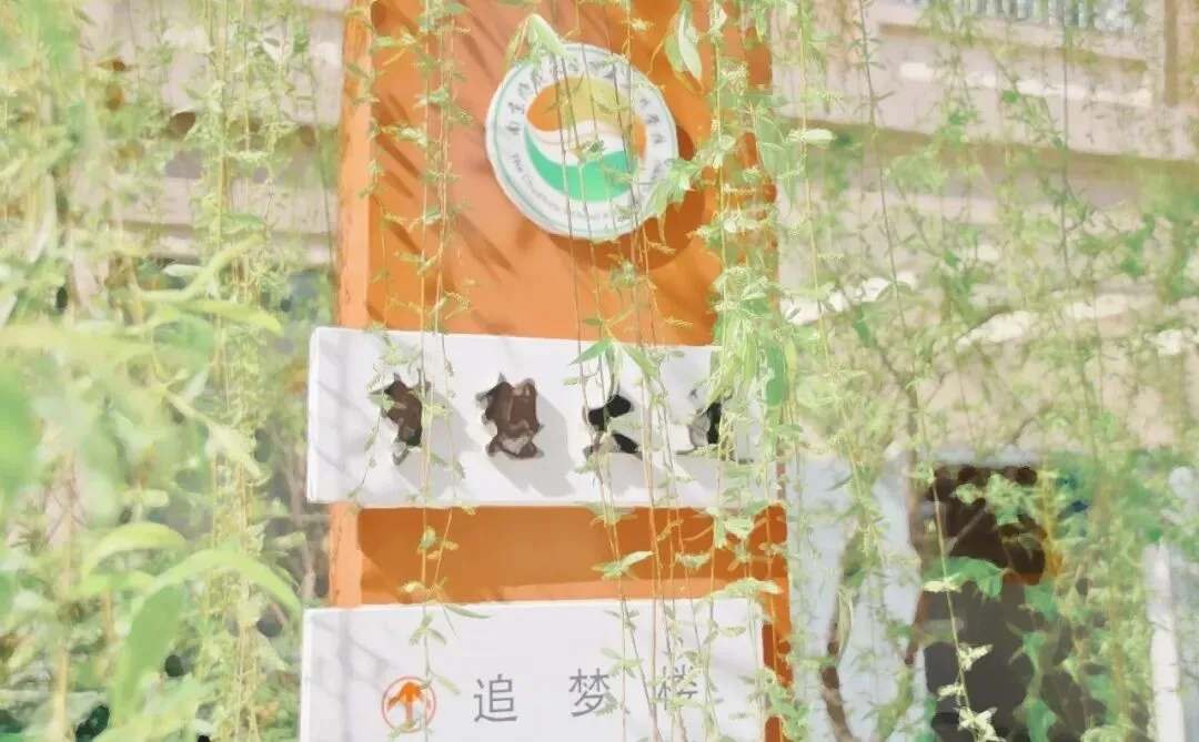 【招生】我校2026年中考体育、理化实验考试再创佳绩 第7张