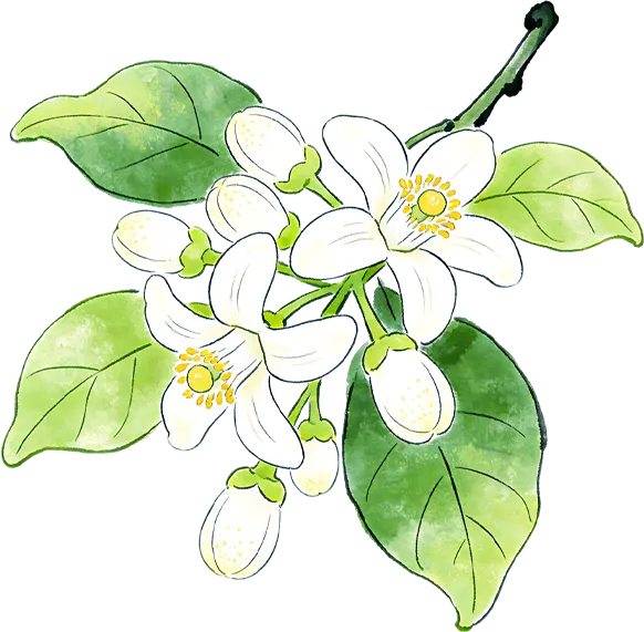 衡阳初三生必看|四月中考提醒:这些事做好,备考更高效! 第7张