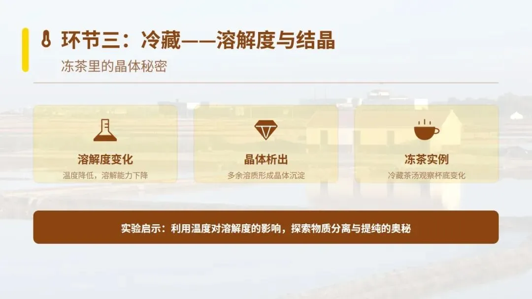 中考化学《溶液》专题复习——柠檬冻茶里的溶液世界 第12张