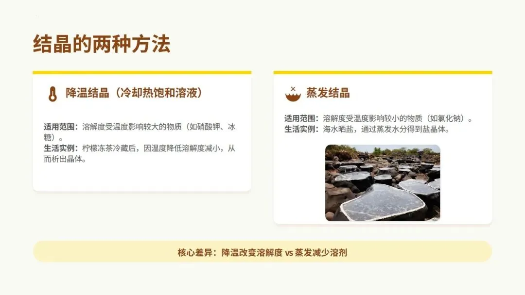 中考化学《溶液》专题复习——柠檬冻茶里的溶液世界 第15张