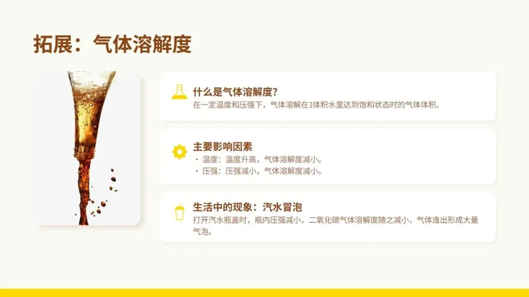 中考化学《溶液》专题复习——柠檬冻茶里的溶液世界 第20张