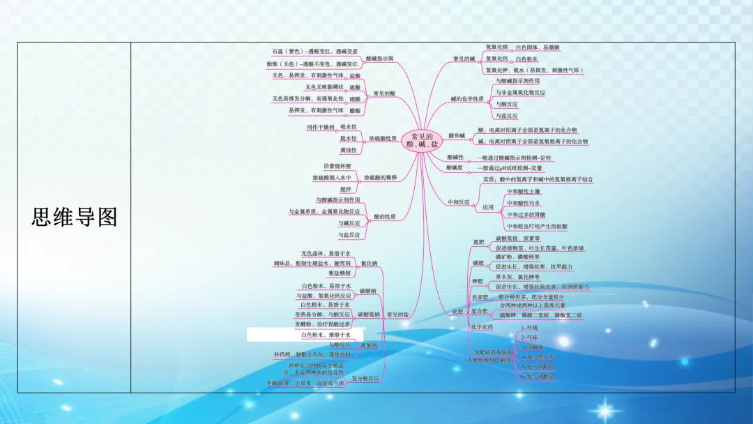 中考化学一轮复习资料 第43张