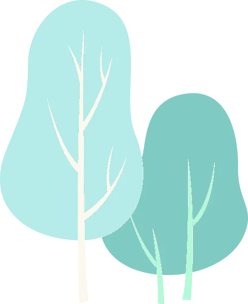 中考分式全攻略:从入门到不丢分,一篇讲透! 第2张