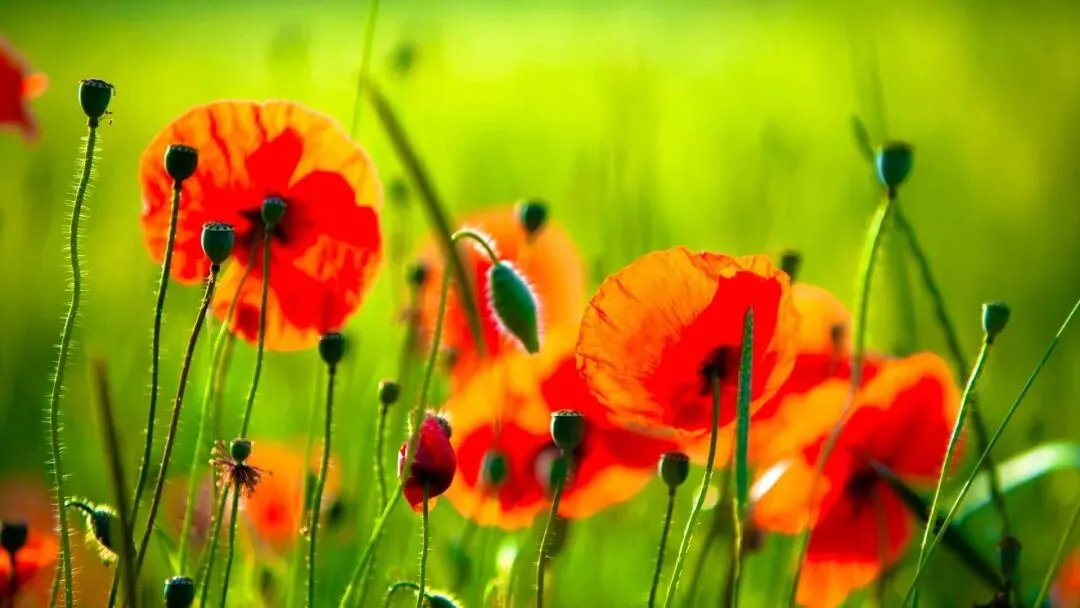 精選新章:欣欣《为什么我的高考试卷总是白纸啊?》(TXT小说)免费 第3张 精選新章:欣欣《为什么我的高考试卷总是白纸啊?》(TXT小说)免费 第3张