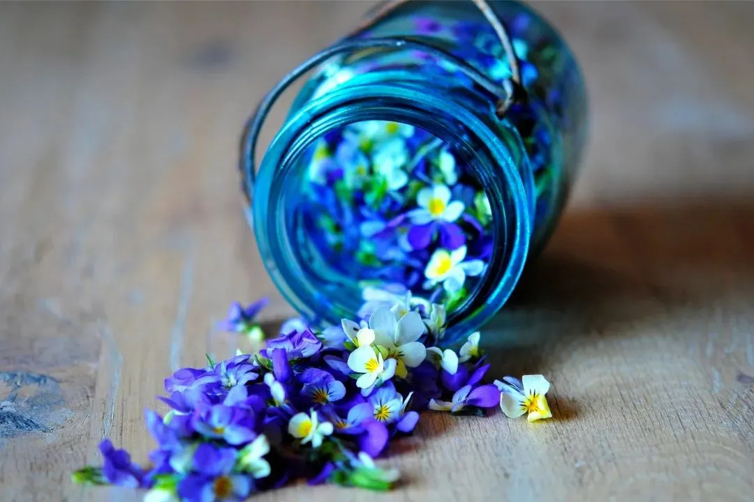 精選新章:欣欣《为什么我的高考试卷总是白纸啊?》(TXT小说)免费 第6张 精選新章:欣欣《为什么我的高考试卷总是白纸啊?》(TXT小说)免费 第6张