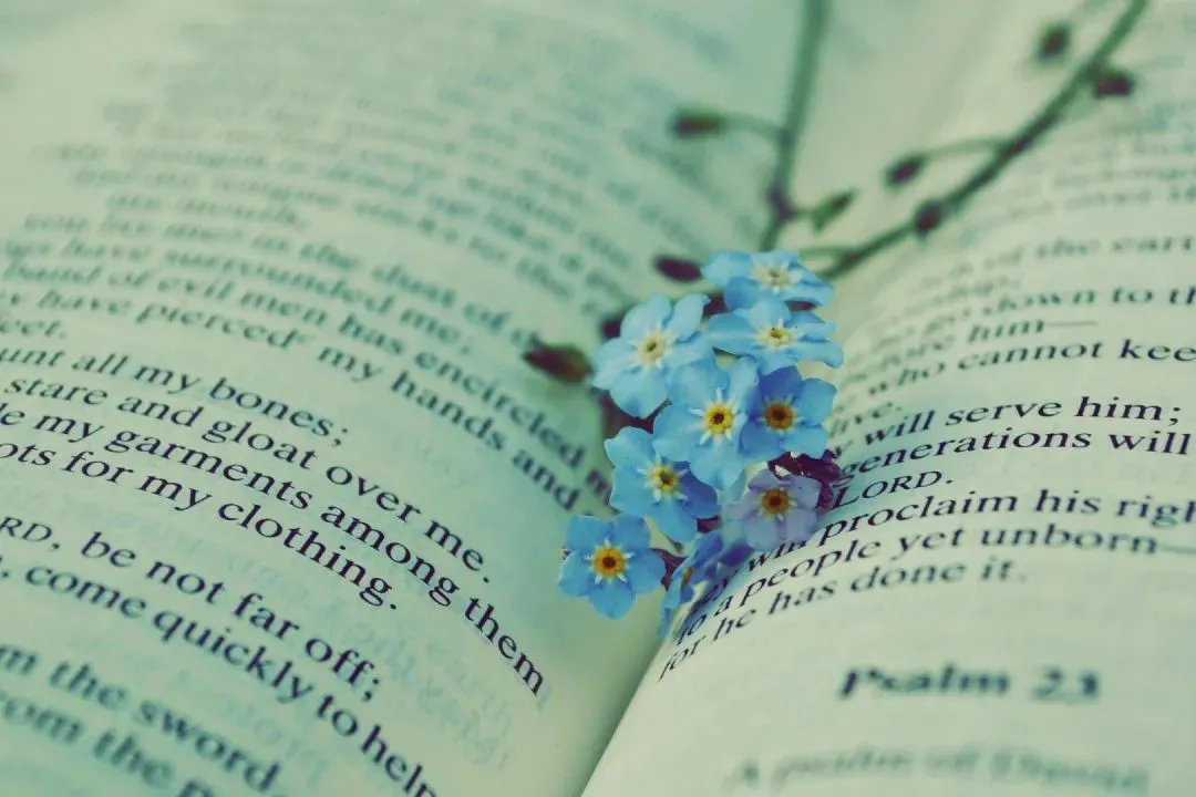 精選新章:欣欣《为什么我的高考试卷总是白纸啊?》(TXT小说)免费 第7张 精選新章:欣欣《为什么我的高考试卷总是白纸啊?》(TXT小说)免费 第7张