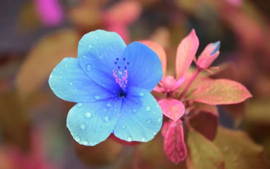 精選新章:欣欣《为什么我的高考试卷总是白纸啊?》(TXT小说)免费 第8张 精選新章:欣欣《为什么我的高考试卷总是白纸啊?》(TXT小说)免费 第8张