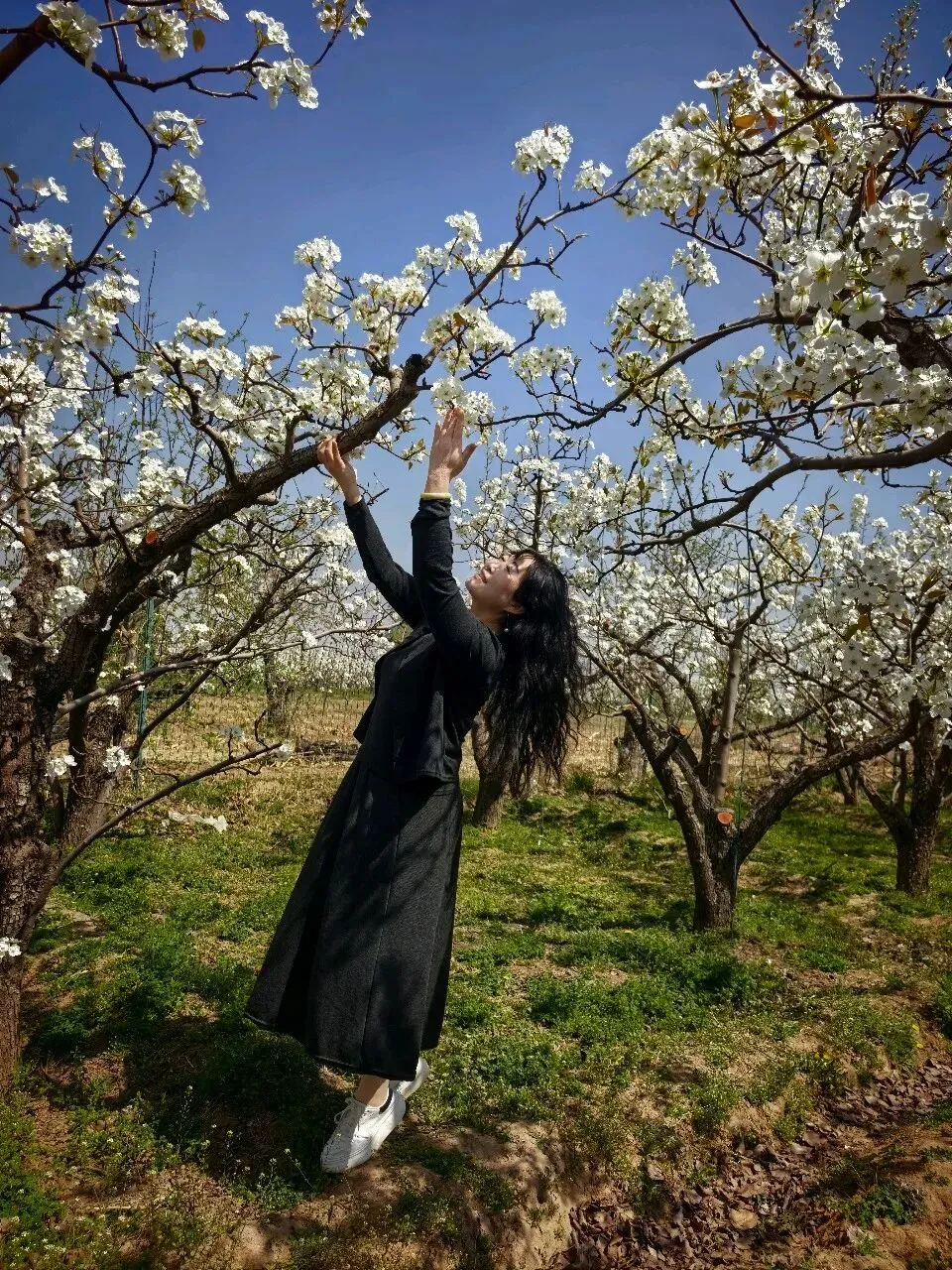 七年级语文下册《骆驼祥子》中考试题及参考答案 第8张