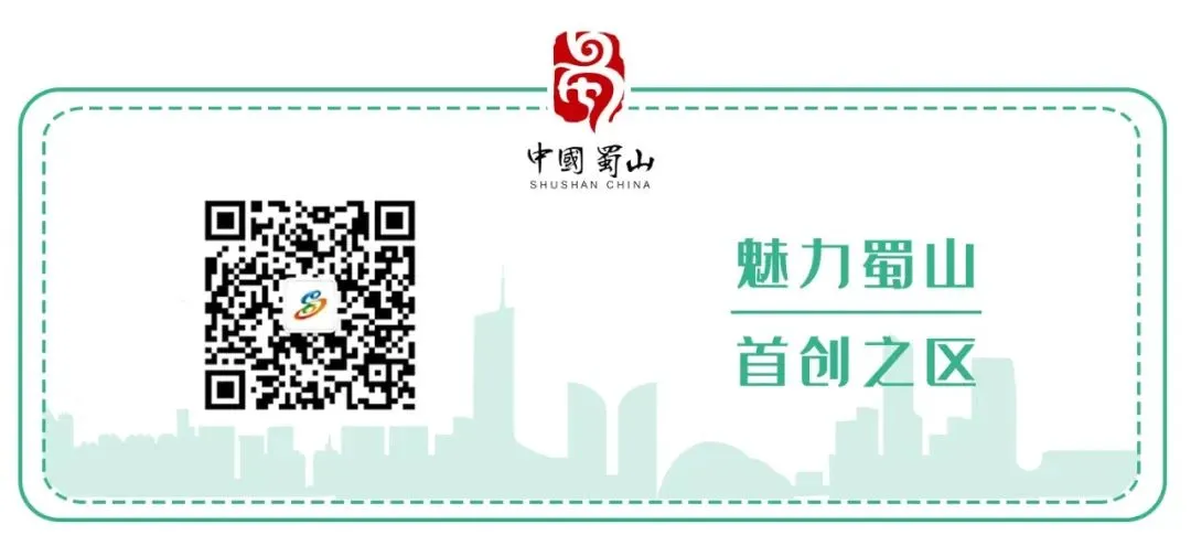 合肥中考各分数段人数出炉!查分、填志愿、录取…… 第7张