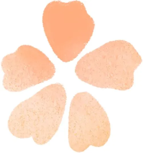 2026陕西中考物理、化学、生物实验操作考什么?全套试题+提分攻略 第27张 2026陕西中考物理、化学、生物实验操作考什么?全套试题+提分攻略 第27张