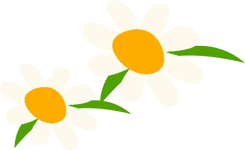 2026年应该是这几年中杭州中考志愿最好填的一年深度解读2025年杭州第一批录取 第3张 2026年应该是这几年中杭州中考志愿最好填的一年深度解读2025年杭州第一批录取 第3张