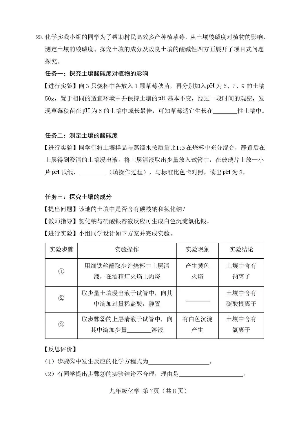 2026年中考模拟考试化学试题10 第10张