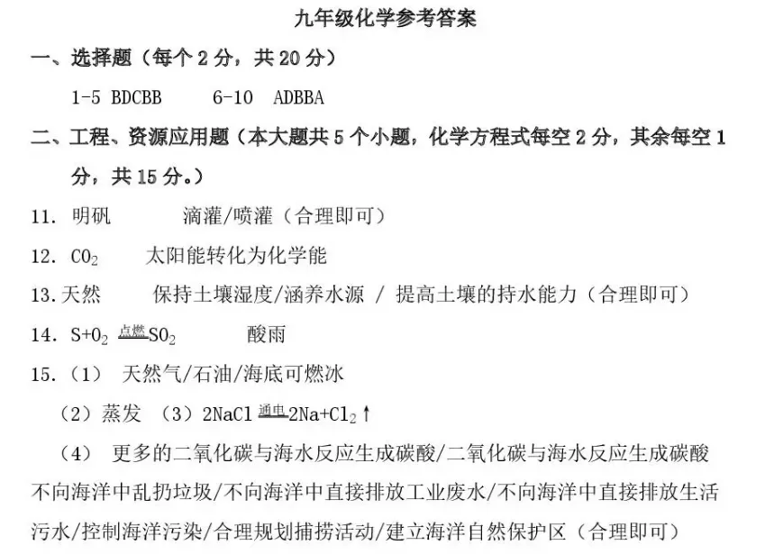 2026年中考模拟考试化学试题10 第12张