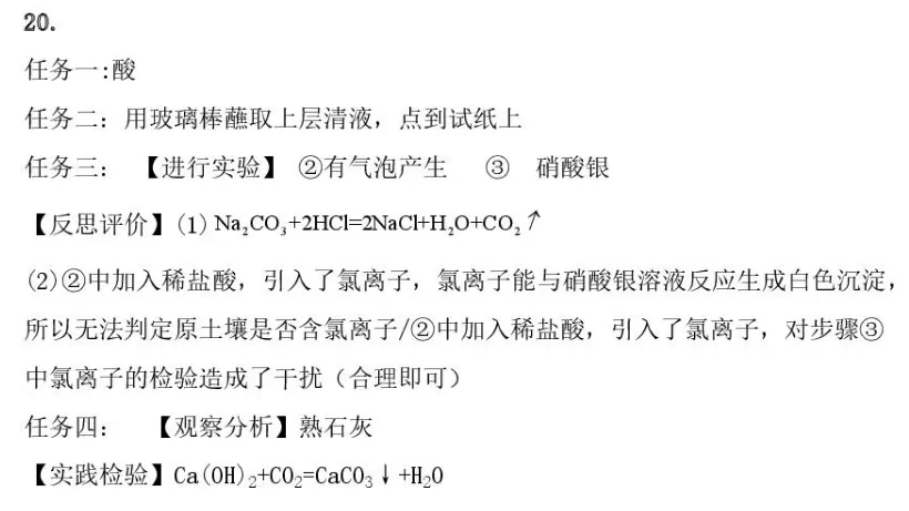2026年中考模拟考试化学试题10 第15张