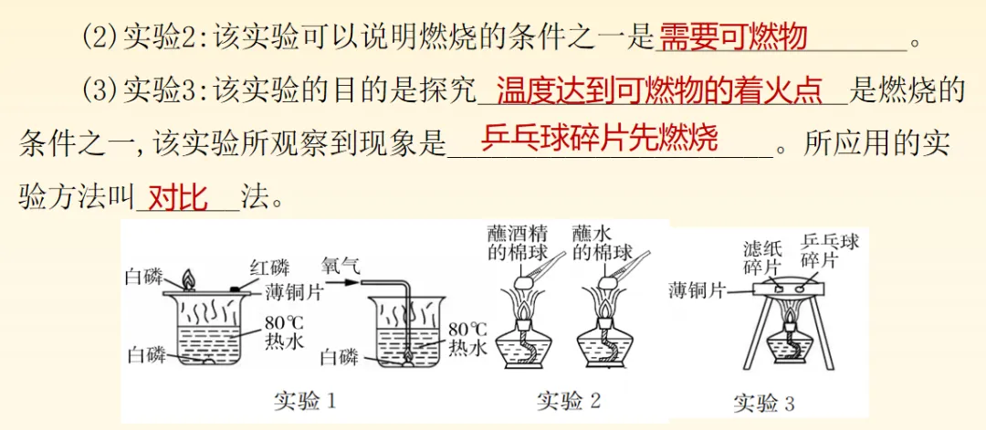 2026中考化学备考考点大梳理跨学科实践活动 第16张