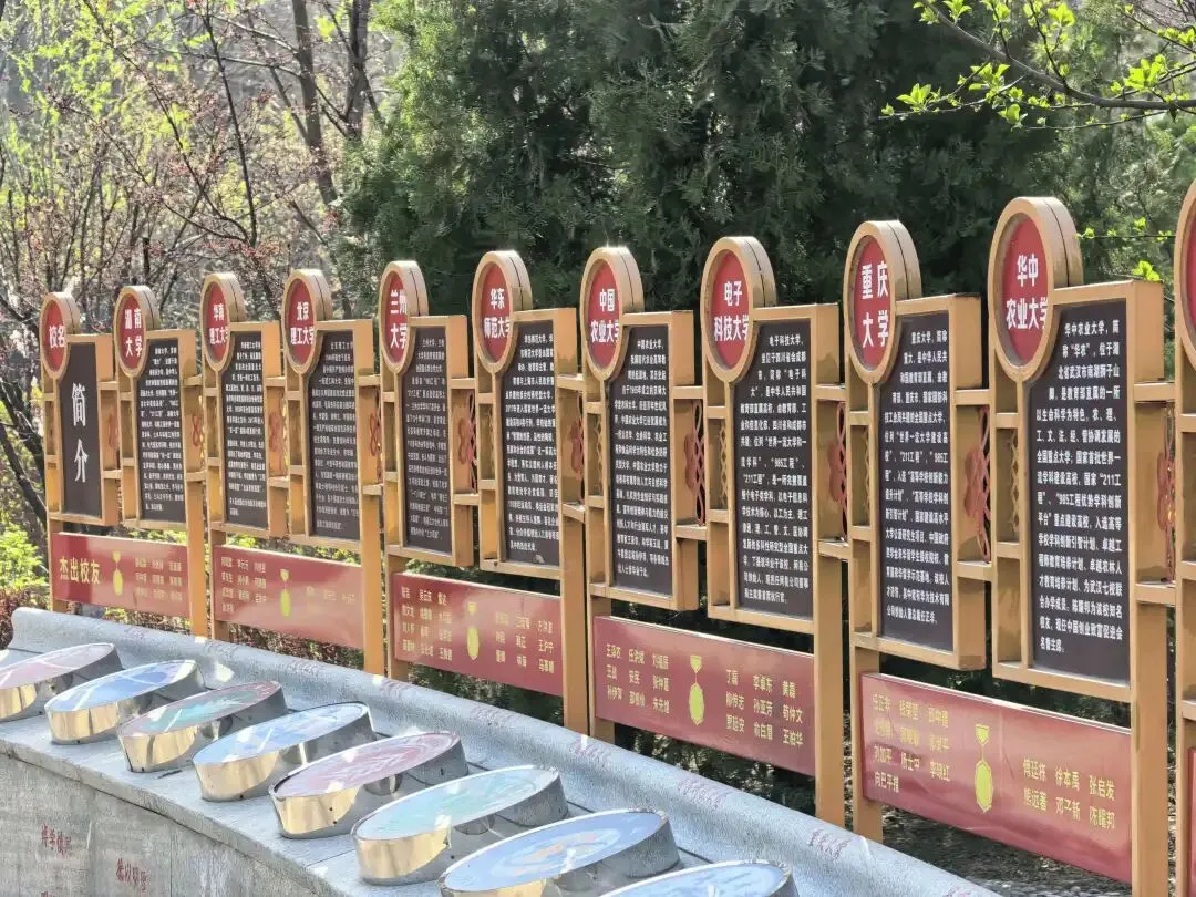 燃!启航学子全员凯旋,打响2026中考第一枪! 第24张