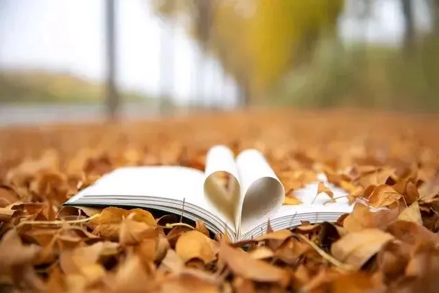 中考满分作文深度解析:把平凡写出高级感 第3张