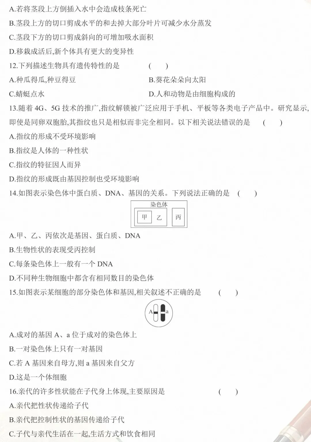期中试卷:人教版生物八年级下册教学质量调研期中试卷三 第4张