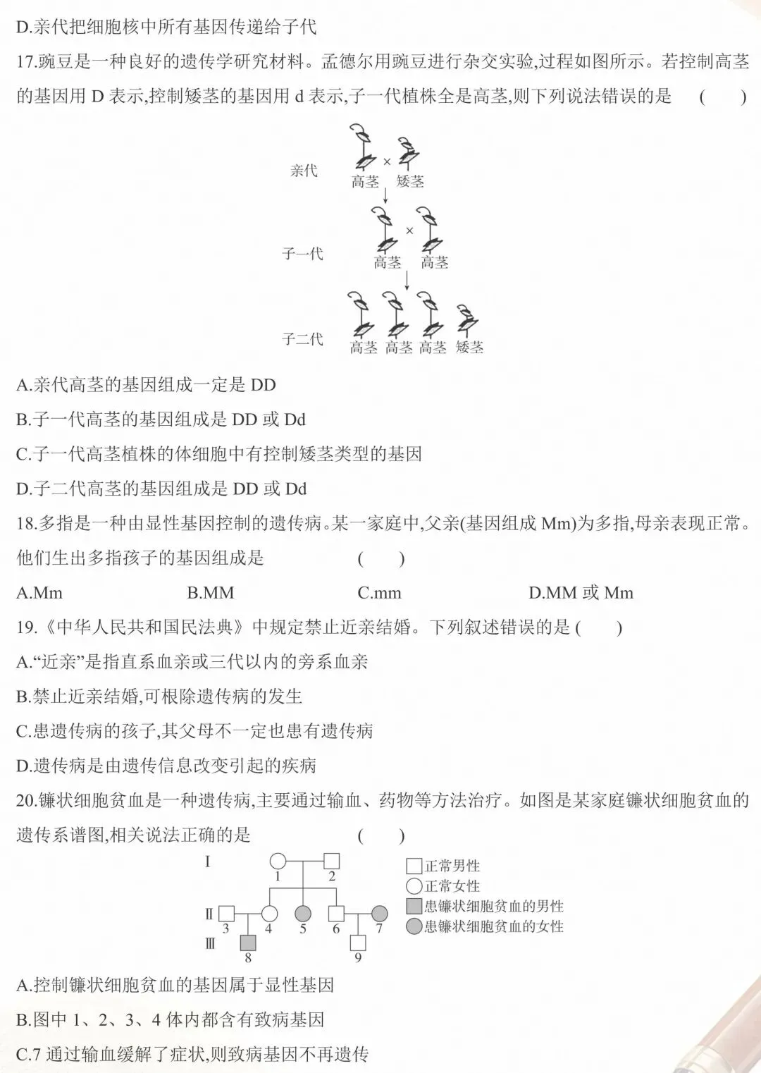期中试卷:人教版生物八年级下册教学质量调研期中试卷三 第5张
