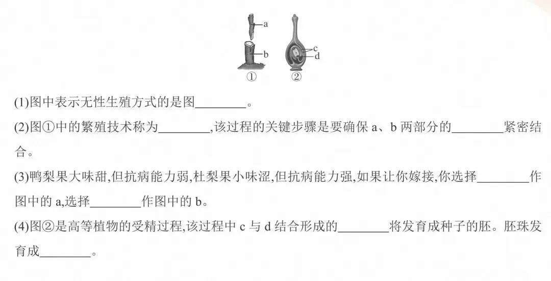 期中试卷:人教版生物八年级下册教学质量调研期中试卷三 第9张