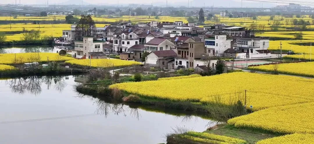 2026年安庆市中考一模数学试题 第5张