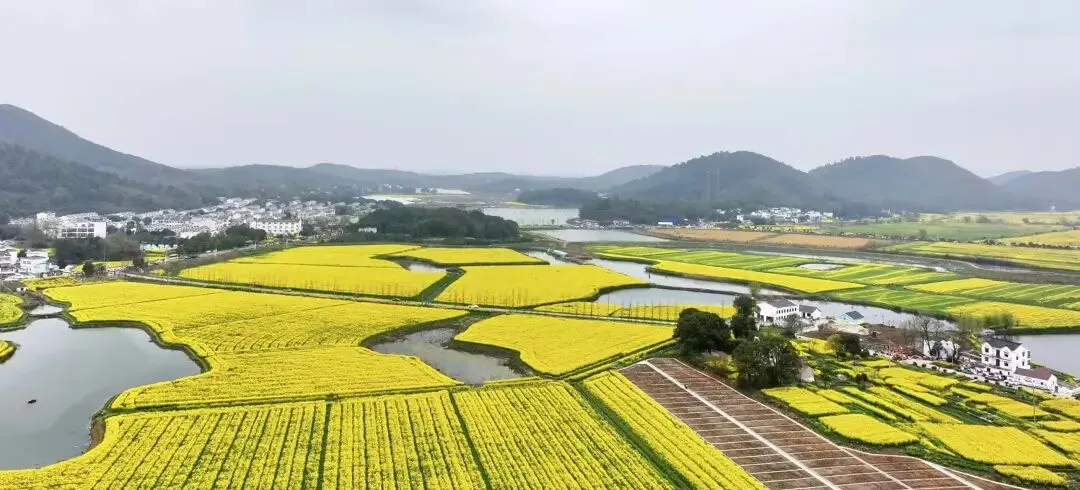 2026年安庆市中考一模数学试题 第9张