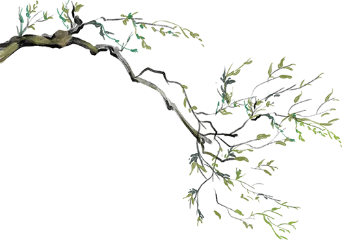 2026年春七年级下册道法《期中模拟试卷》附详细解析版,完整电子版可打印! 第5张