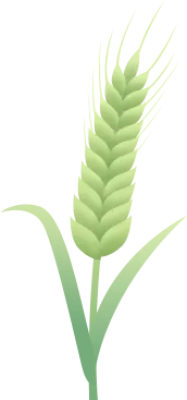 中考新题型练习31 第15张