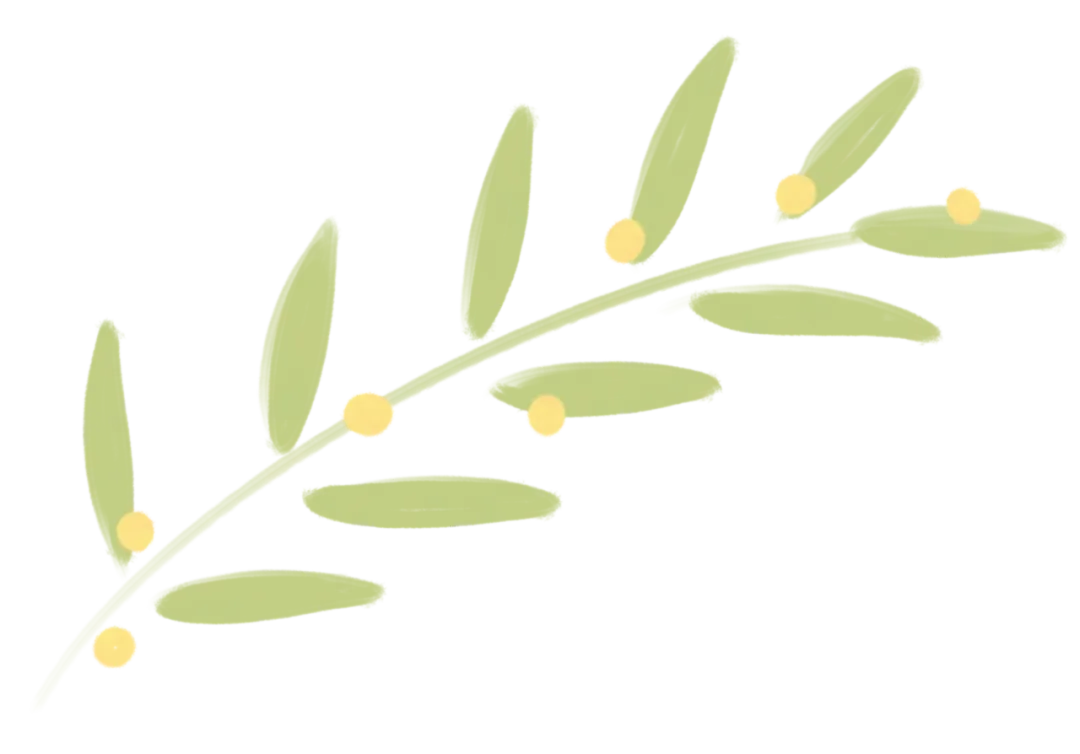 九年级历史中考专题复习:大国崛起与大国关系 第21张 九年级历史中考专题复习:大国崛起与大国关系 第21张