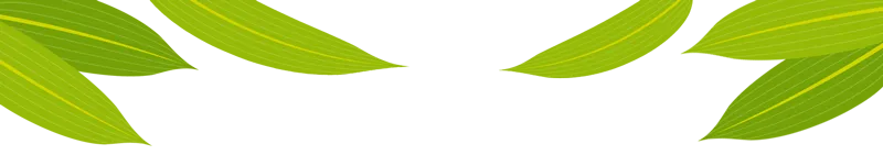 2025年赣州事业单位真题解析 第1张