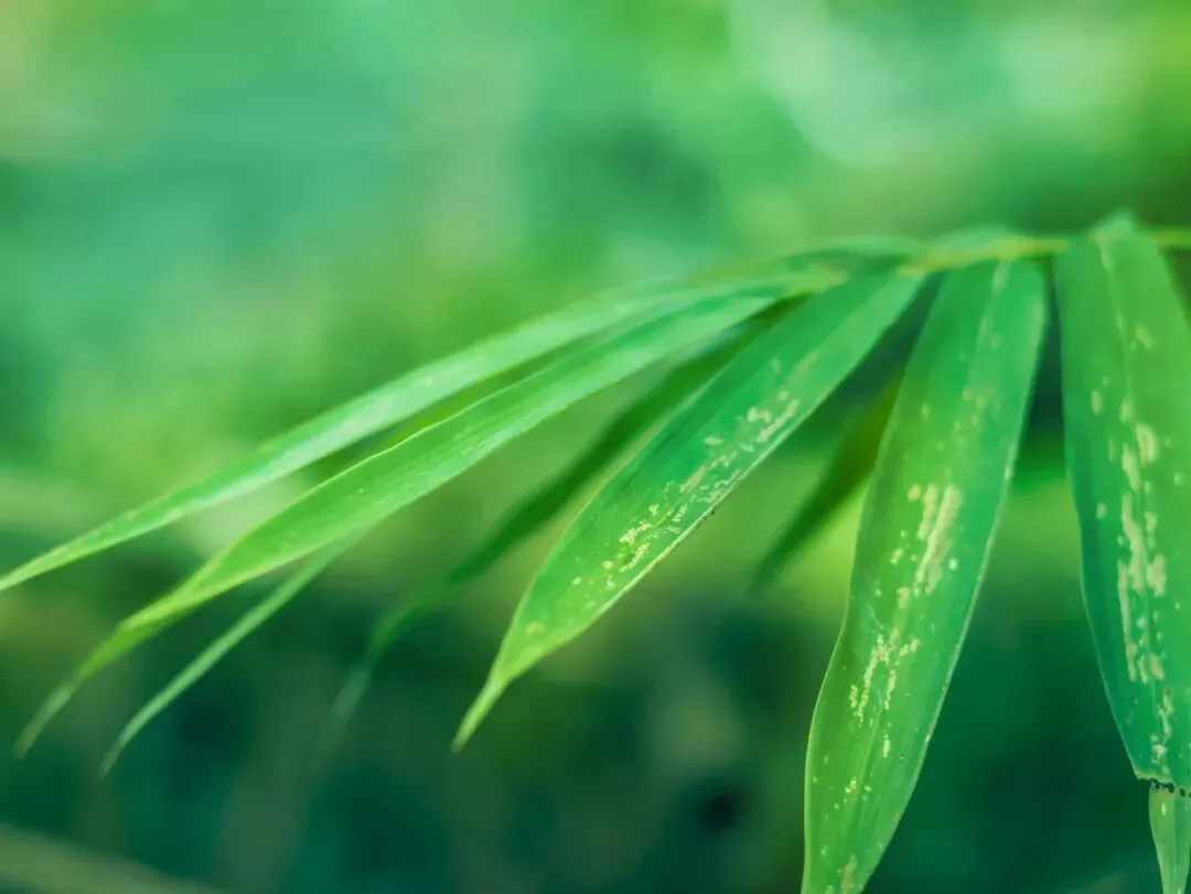 2025年赣州事业单位真题解析 第3张