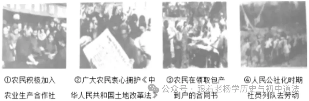 部编版八年级下册历史期中考试卷(一) 第4张