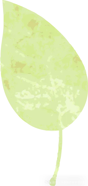 2026中考道法20个最易考的考点及预测押题 第7张