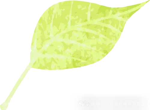 2026中考道法20个最易考的考点及预测押题 第8张