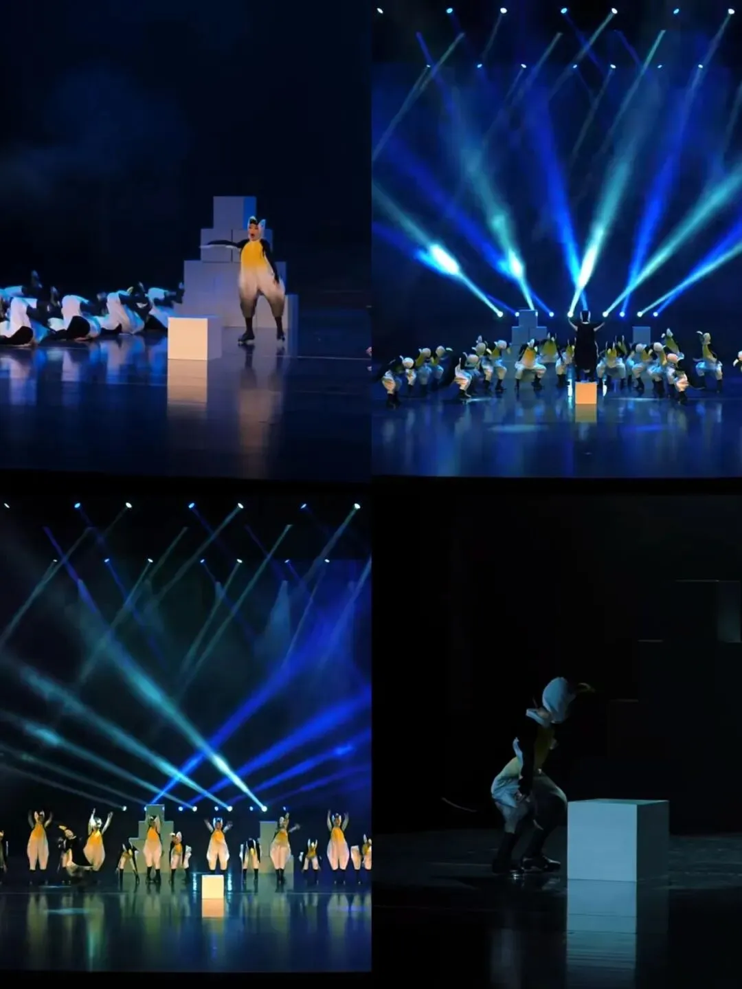 三年五星,九年一贯,中考称雄——省一级标准民办学校,成就孩子卓越未来 第121张