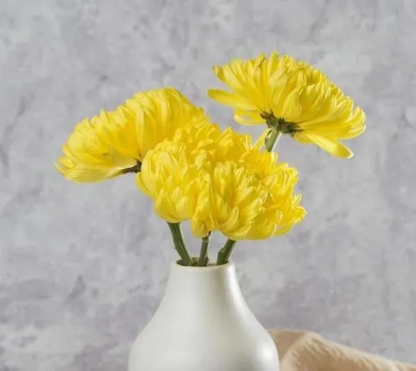 六级翻译真题--尊老 第2张