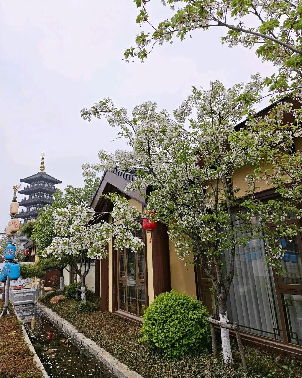 别让满分试卷,困住孩子的创新光芒 第2张