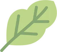 第五期 2025年山西中考英语试题研究——E篇,词语运用A 第10张