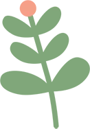 第五期 2025年山西中考英语试题研究——E篇,词语运用A 第16张