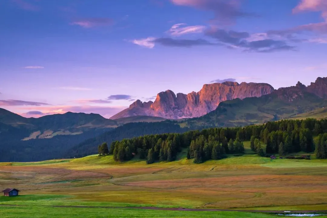 全新篇章:欣欣《为什么我的高考试卷总是白纸啊?》【txt阅读】免费 第4张