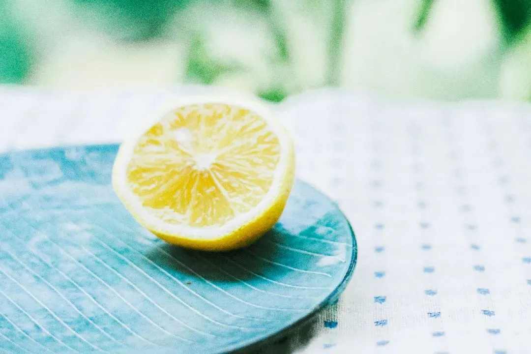 全新篇章:欣欣《为什么我的高考试卷总是白纸啊?》【txt阅读】免费 第5张