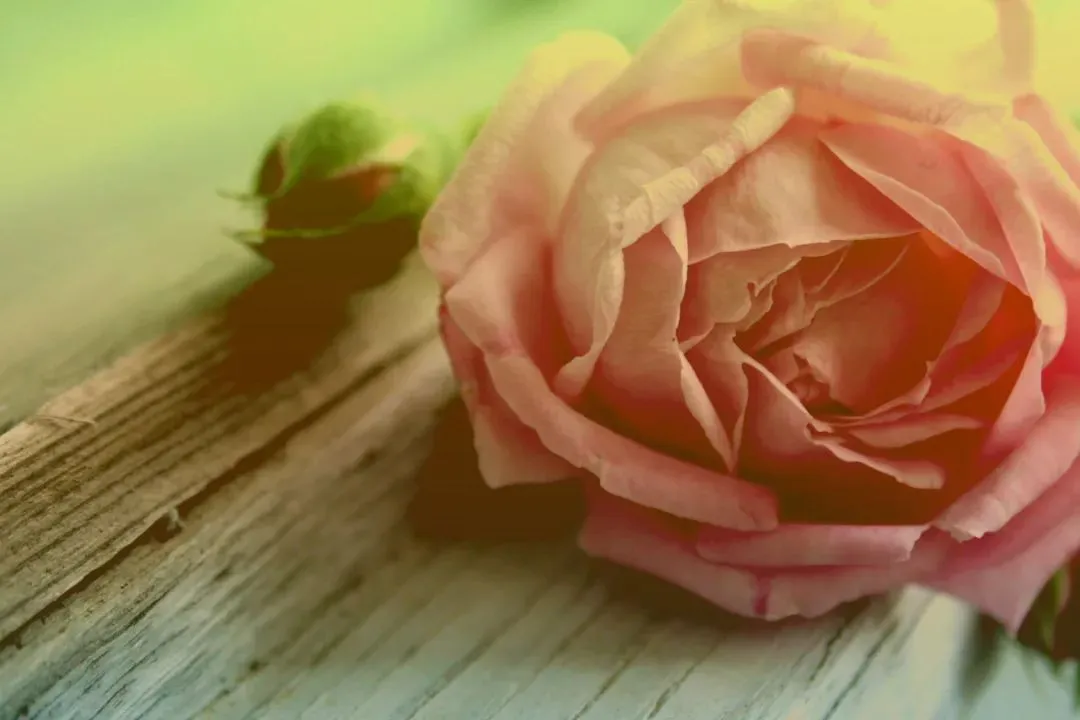 全新篇章:欣欣《为什么我的高考试卷总是白纸啊?》【txt阅读】免费 第6张