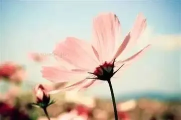 全新篇章:欣欣《为什么我的高考试卷总是白纸啊?》【txt阅读】免费 第10张