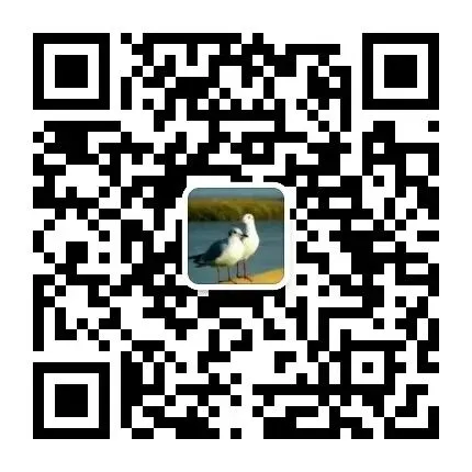 编校技能知识竞赛真题(多选),邀你来战!(四) 第1张